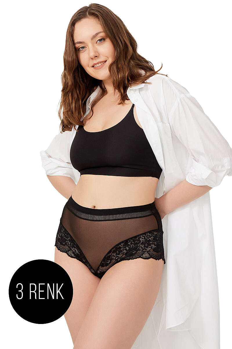 3-Pack Plus-Size Lace-Detail Tulle Briefs - Multicolour 2