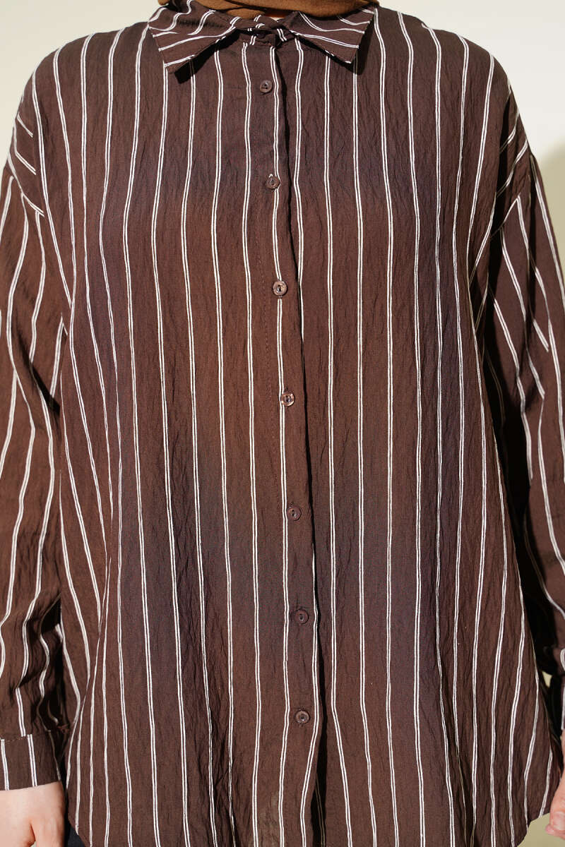 Striped Shirt with Double Back Pleat - Brown