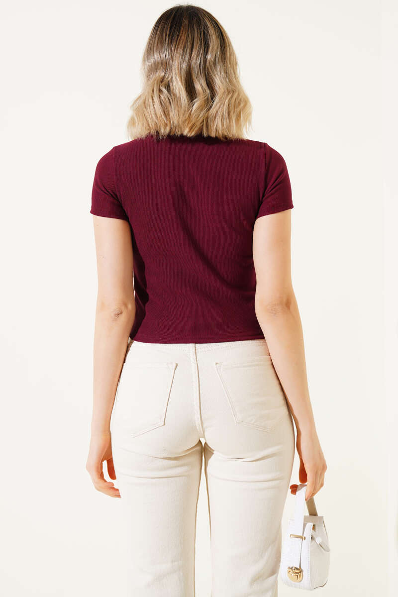 Short-Sleeve Teddy Embroidered Crop Top - Burgundy