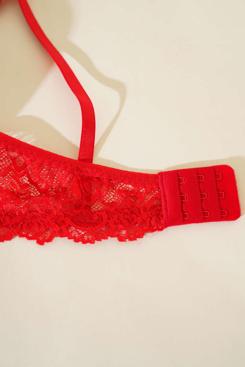 Padded Glossy Lace Bra Set - Red