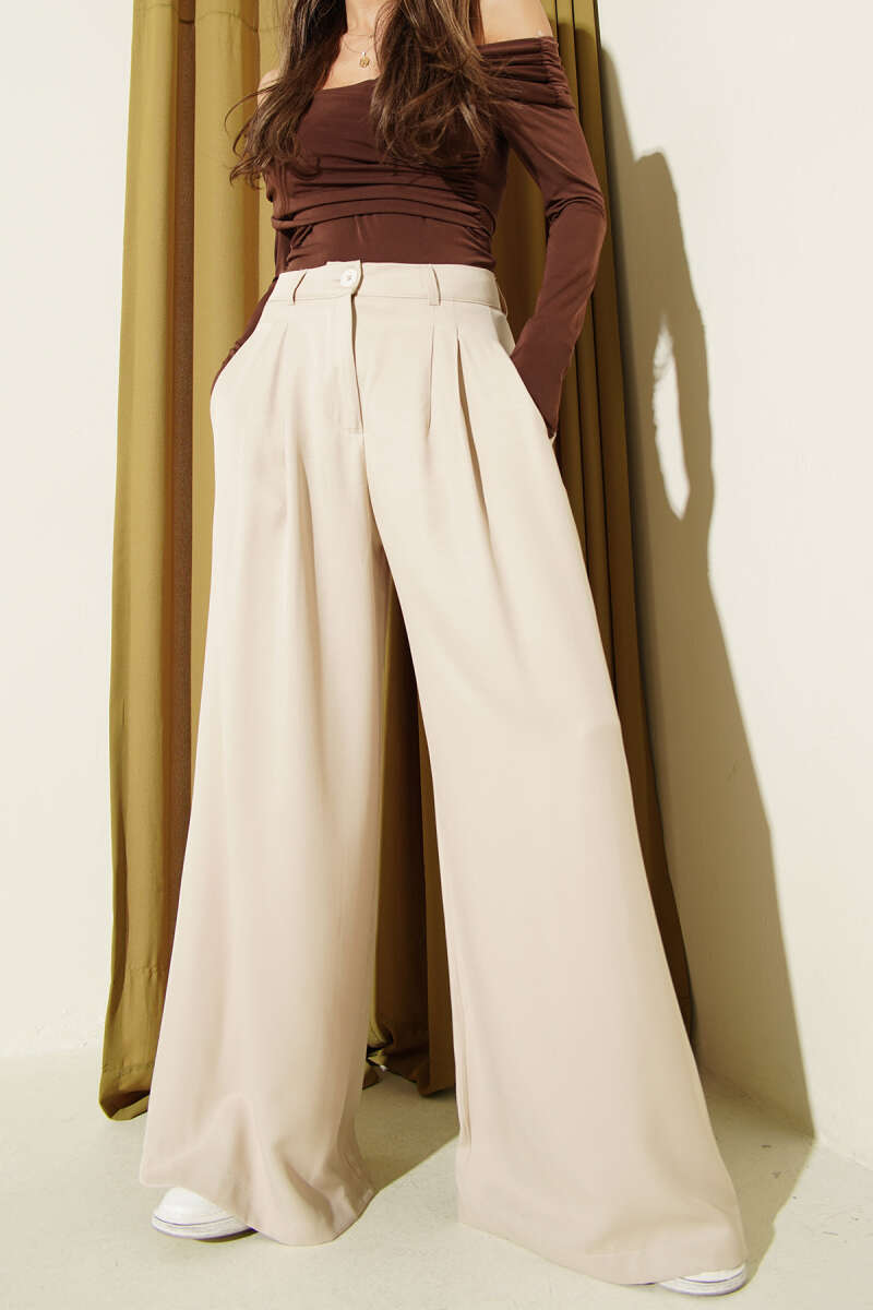 Loose Wide-Leg Pleated Pants - Beige