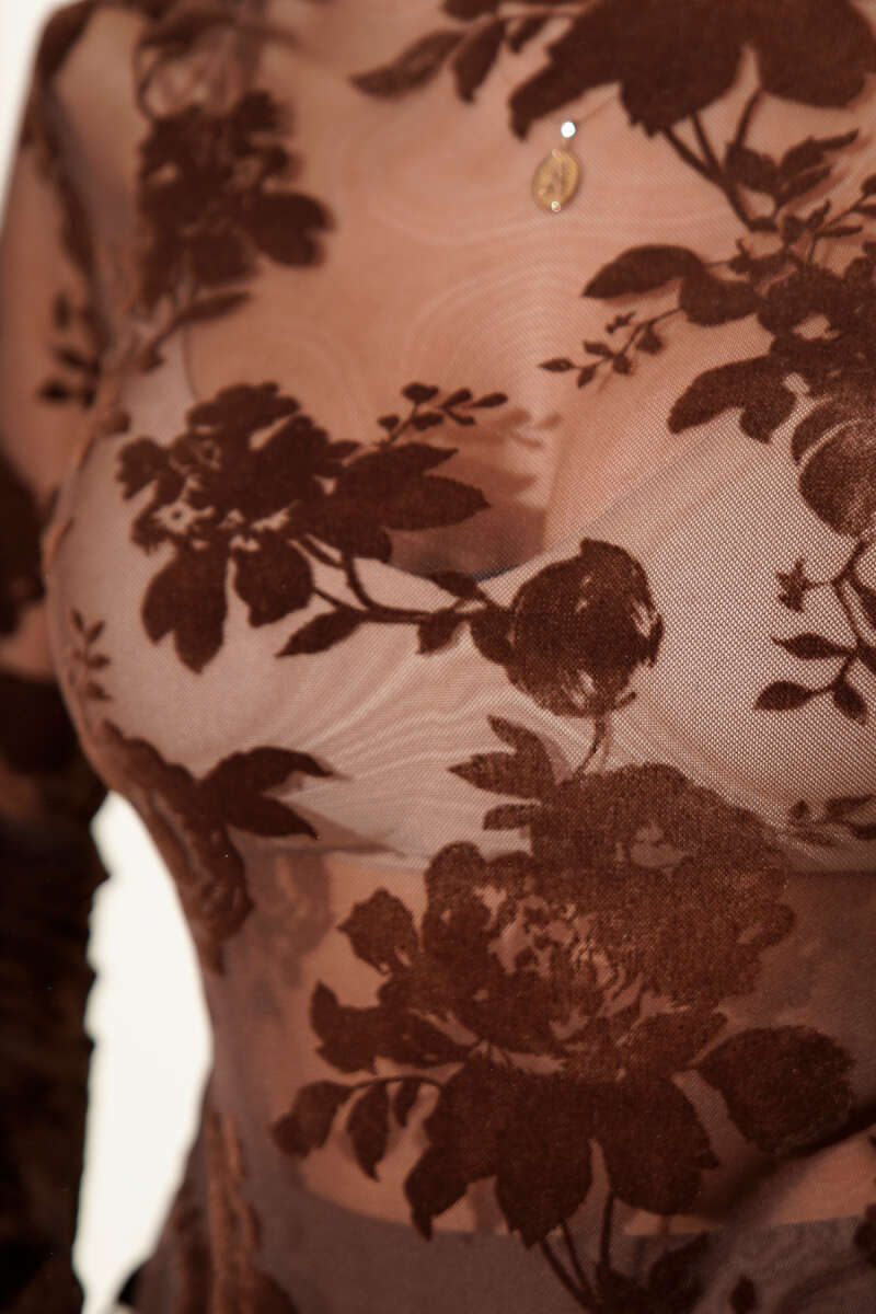 Rose Print Tulle Blouse - Brown