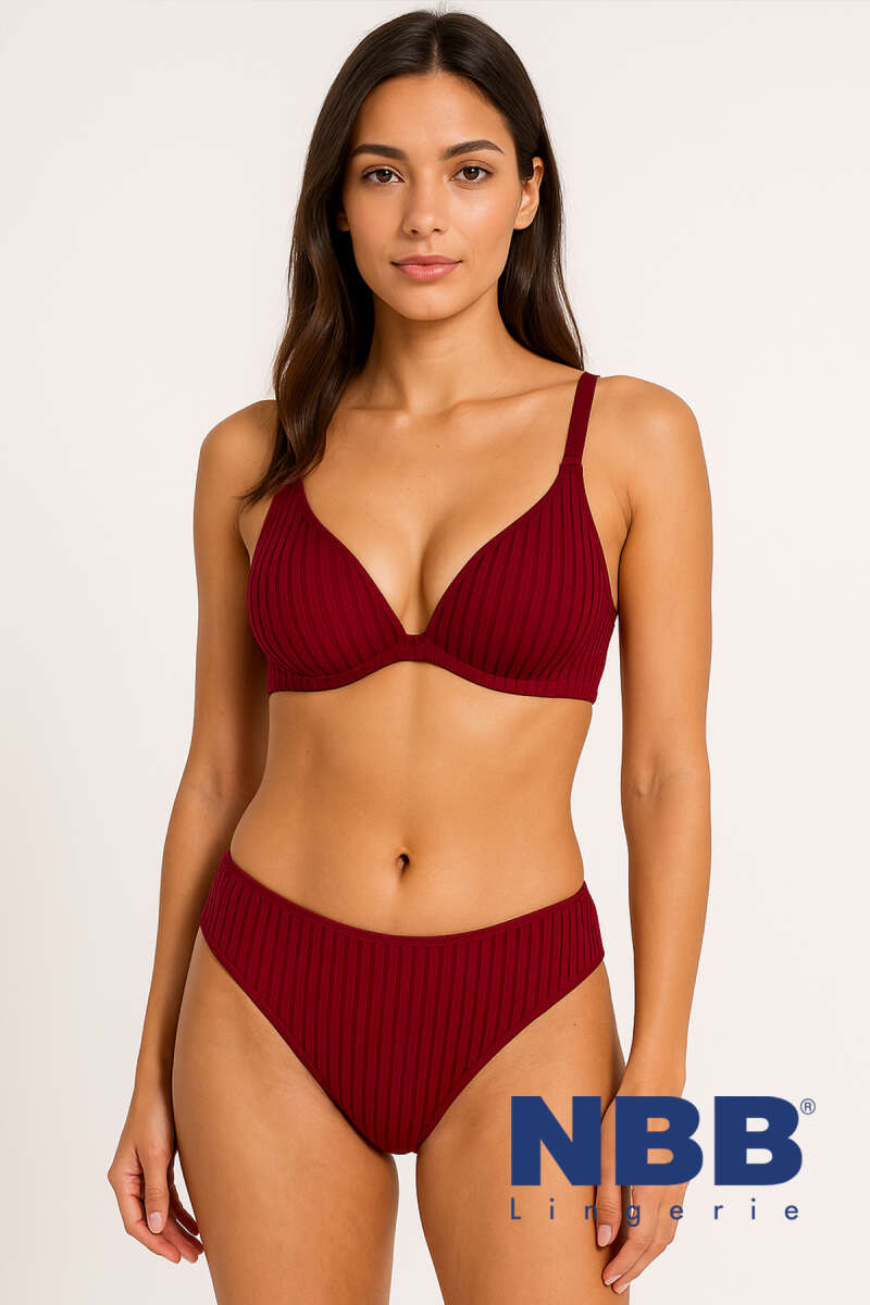 NBB Unpadded Bra Set with Sheer Stripes - Burgundy