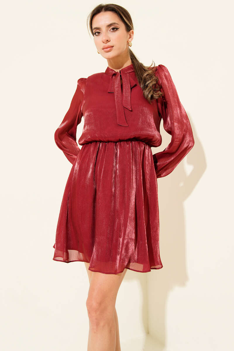Tie-Front Chiffon Mini Dress - Burgundy