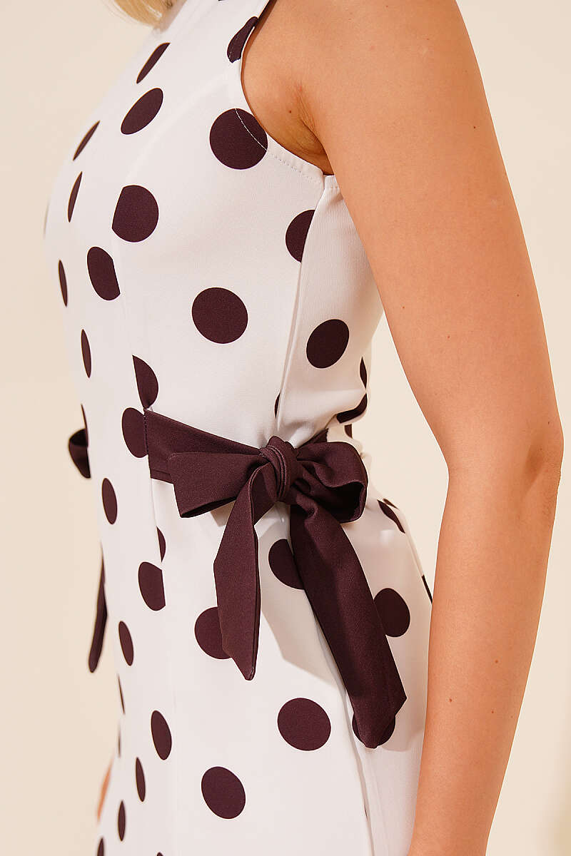 Polka Dot Mini Dress with Side Ties - Brown